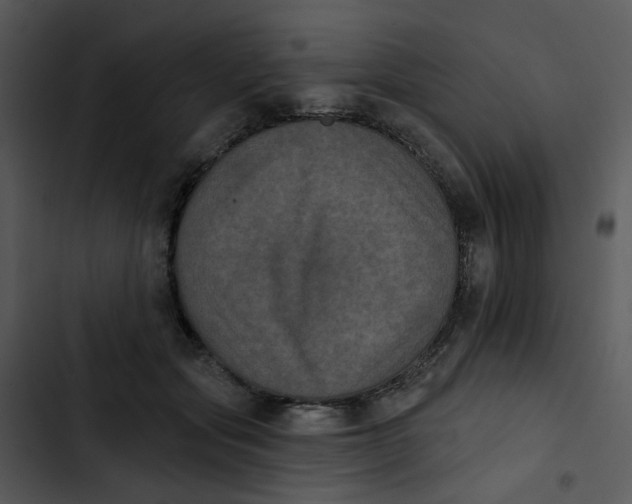 X0000102830557200809081158