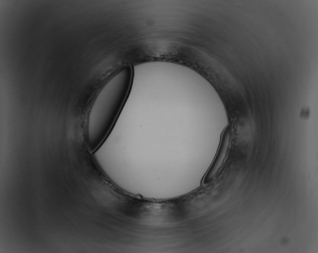 X0000102830558200809081158