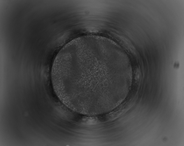X0000102830559200809081158