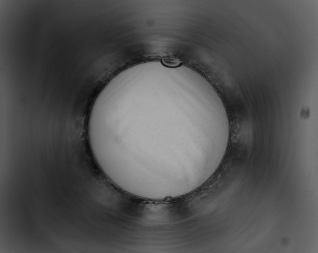 X0000102830560200809081158