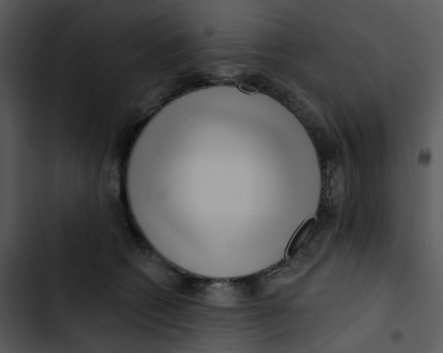 X0000102830562200809081158