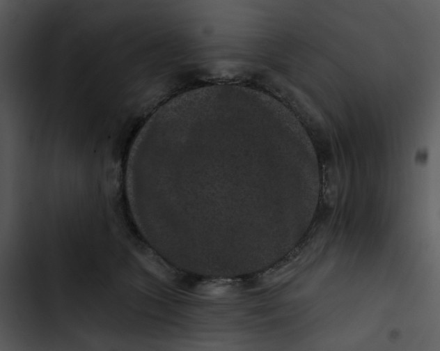 X0000102830563200809081158