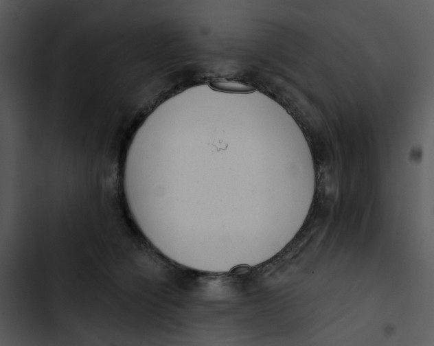 X0000102830564200809081158
