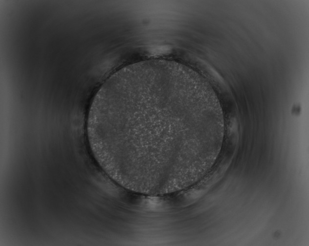 X0000102830565200809081158