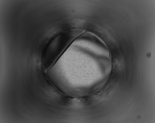 X0000102830566200809081158