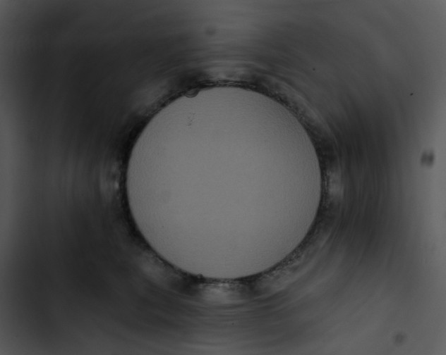 X0000102830567200809081158