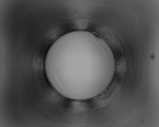 X0000102830568200809081158