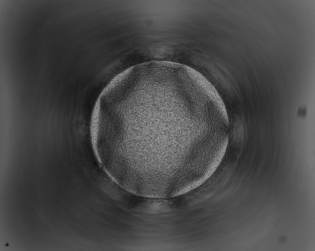 X0000102830569200809081158