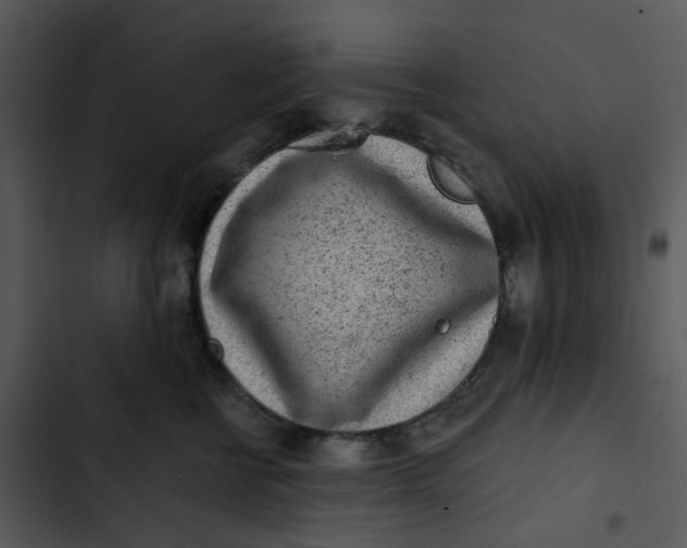 X0000102830570200809081158