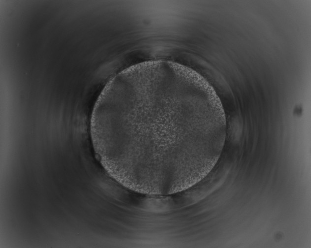 X0000102830571200809081158