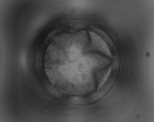 X0000102830573200809081158