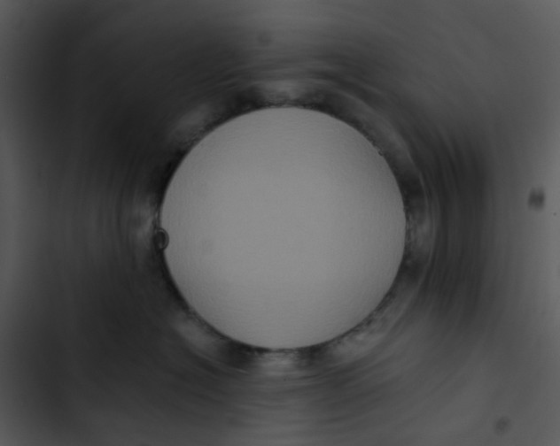 X0000102830574200809081158