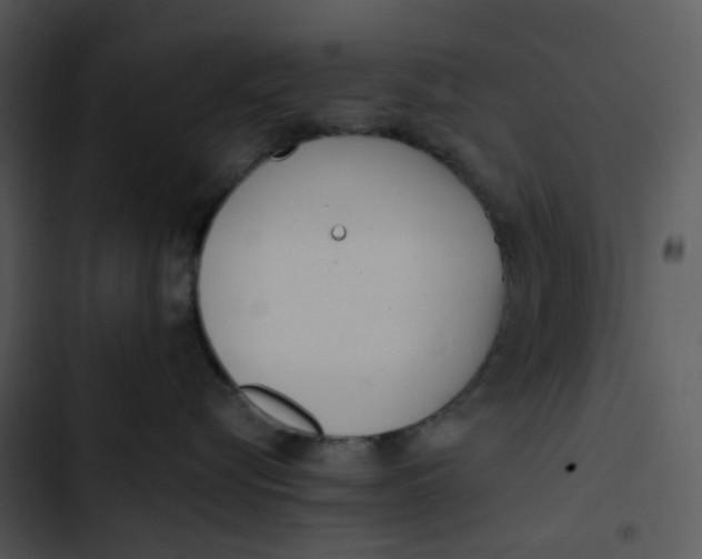 X0000102830576200809081158