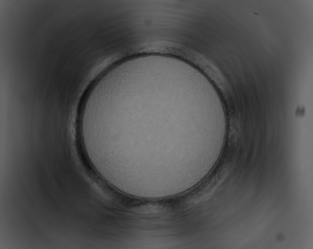 X0000102830578200809081157