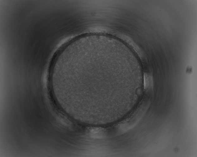 X0000102830579200809081157