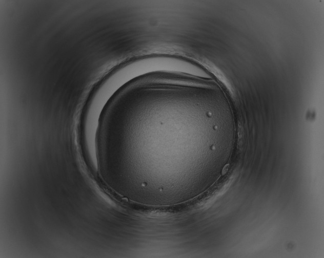X0000102830581200809081157