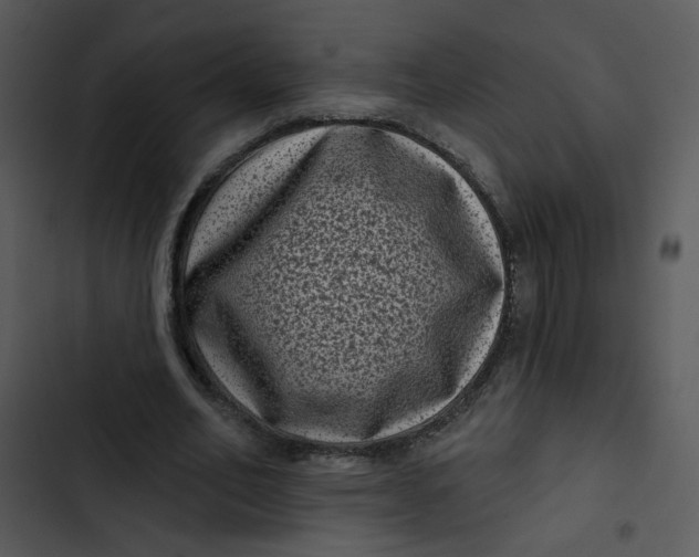 X0000102830582200809081157