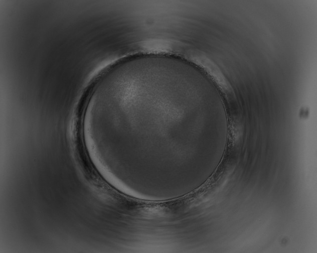 X0000102830583200809081157