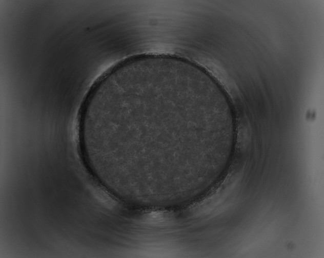 X0000102830584200809081157