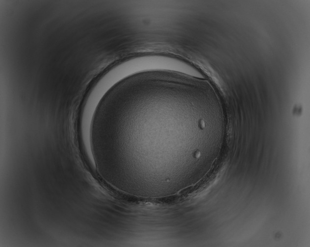 X0000102830585200809081157