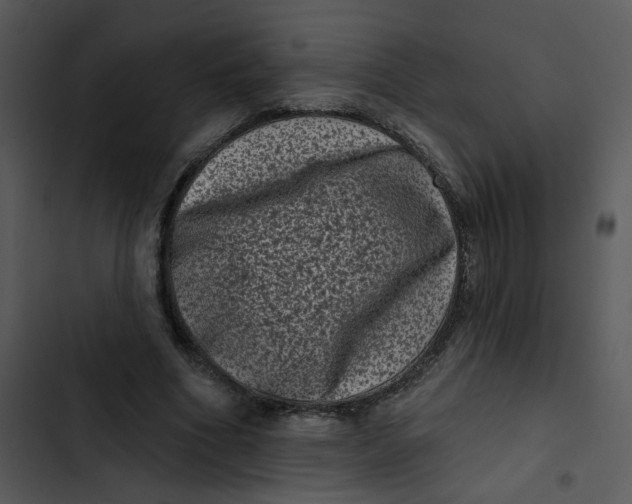 X0000102830586200809081157