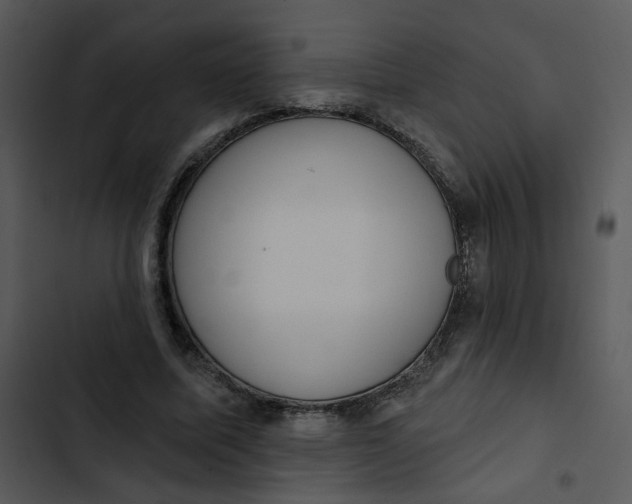 X0000102830587200809081157