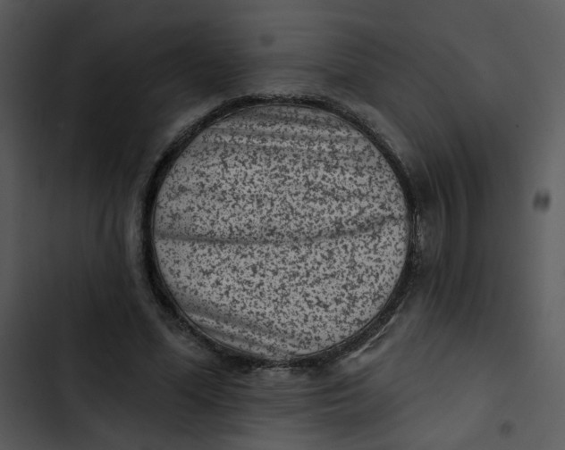 X0000102830588200809081157