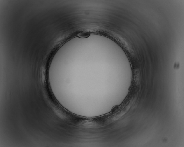 X0000102830589200809081157