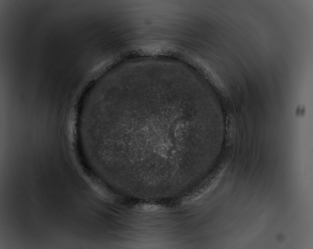 X0000102830590200809081157