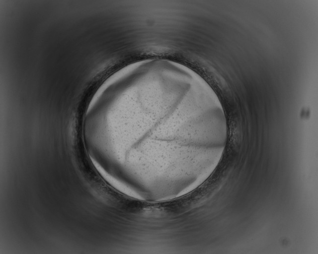 X0000102830591200809081157