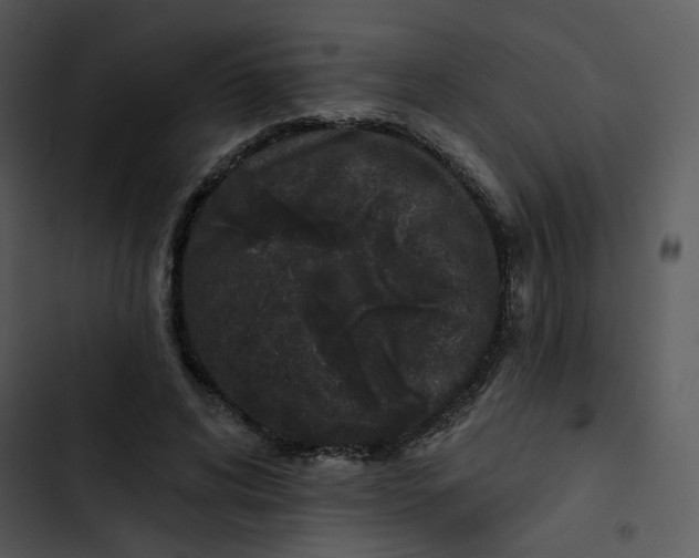 X0000102830592200809081157