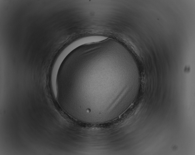 X0000102830593200809081157