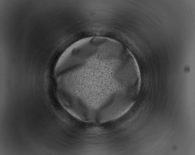 X0000102830594200809081157