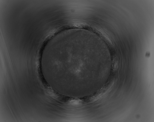 X0000102830595200809081157