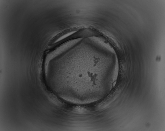 X0000102830596200809081157