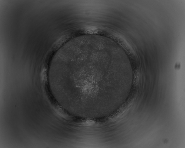 X0000102830598200809081157