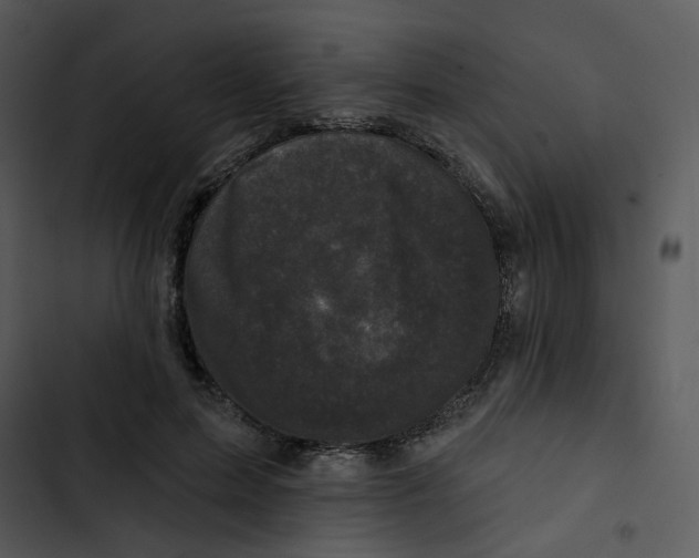 X0000102830599200809081157