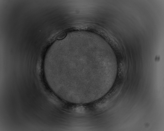 X0000102830600200809081157