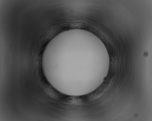 X0000102830601200809081157