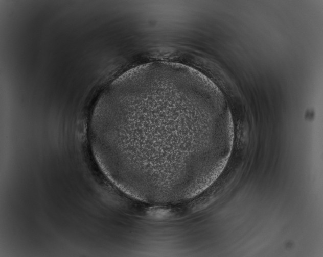 X0000102830602200809081157