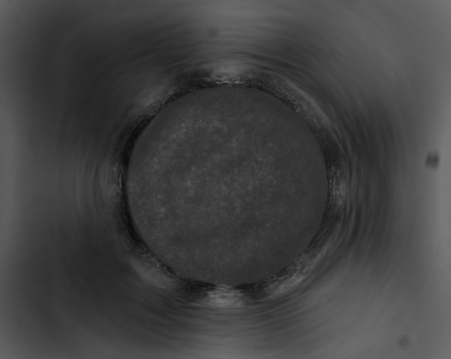 X0000102830603200809081157