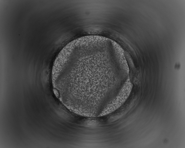 X0000102830604200809081157