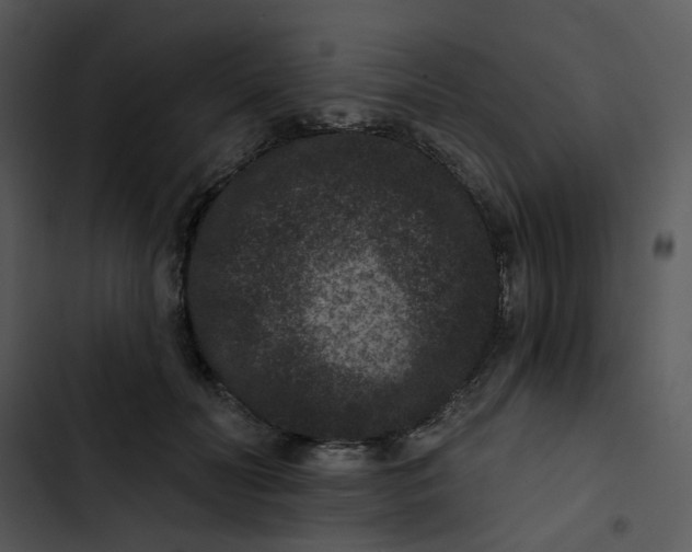 X0000102830606200809081157