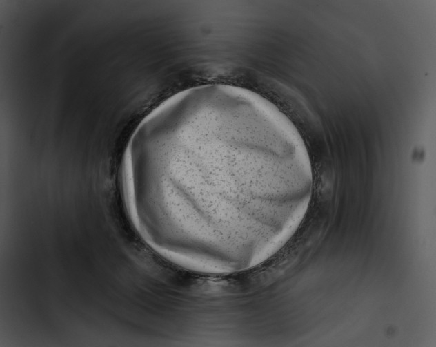X0000102830607200809081157