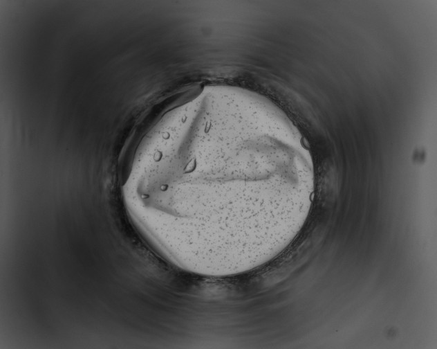 X0000102830608200809081157