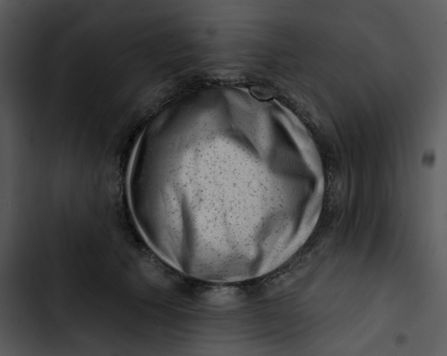 X0000102830609200809081157