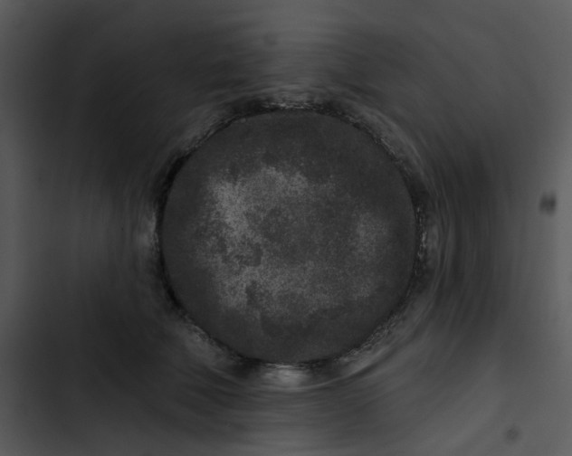 X0000102830610200809081157