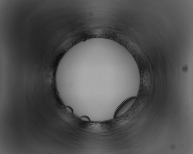 X0000102830611200809081157