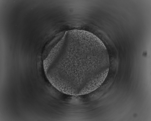 X0000102830612200809081157