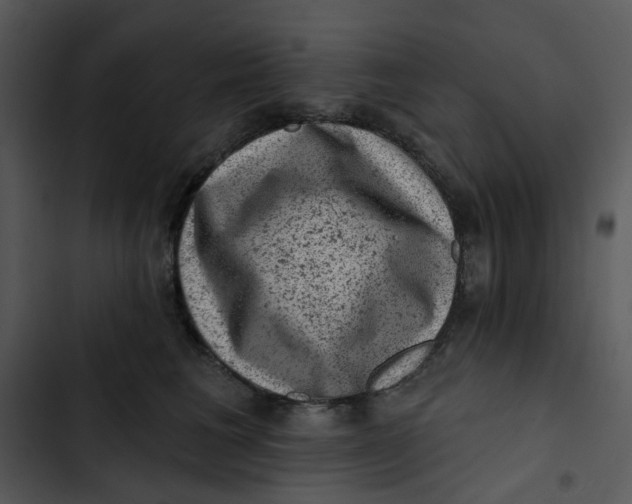 X0000102830613200809081157